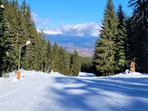 索菲亞和班斯科滑雪：保加利亞充滿活力的冬季雙子星