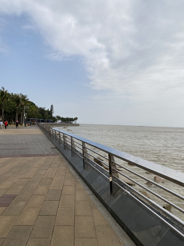 期間限定,去日月貝,別忘走上環島綠道看花海🌺🌸