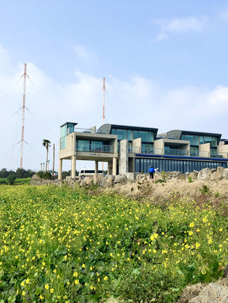 제주 웨이브 매직