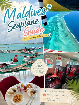 ✈️ Maldives Arrival Guide: What’s It Like to Take a Seaplane?