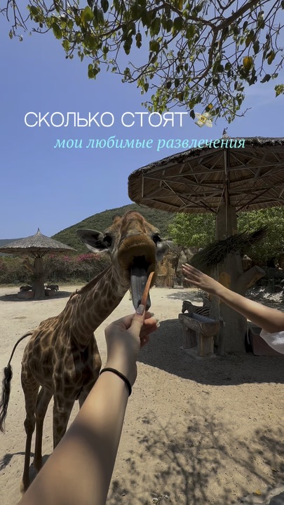 Сколько стоят мои любимые развлечения в Нячанге? 🇻🇳 