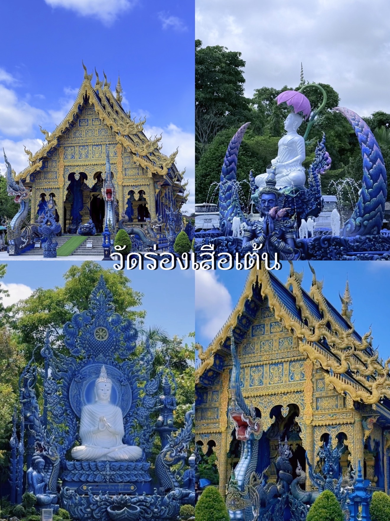 📍วัดร่องเสือเต้น ( Blue Temple )