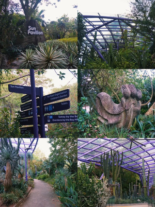 Exploring Singapore Beyond the Skyscrapers: My Sun Pavilion Experience