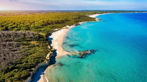 🤍 Puglia, Italy — Discover the Charming Soul of Southern Italy! 🌊🍋 — traveler post in Ostuni