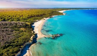 🤍 Puglia, Italy — Discover the Charming Soul of Southern Italy! 🌊🍋