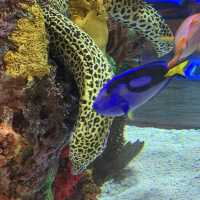 Da Boys Take On Six Flags Atlanta