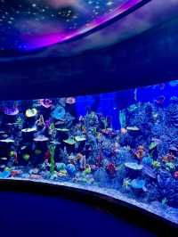 The Oceana Aquarium - Haikou