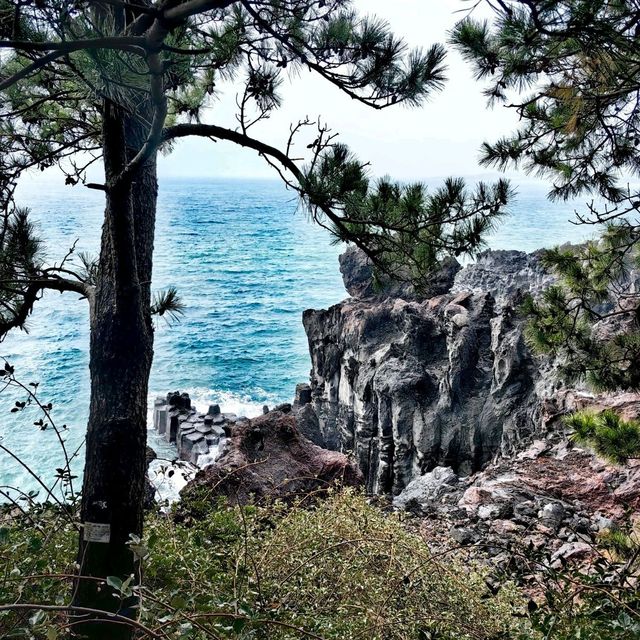 Nature's Symphony at Jusangjeolli Cliff