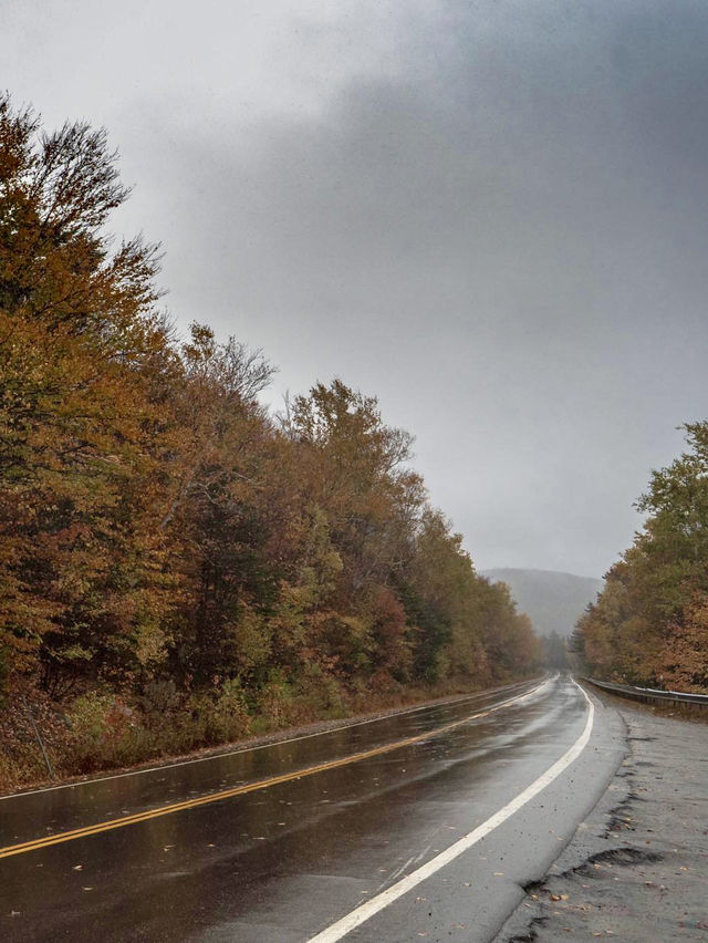 White Mountain National Forest