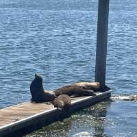 Took a little trip down central California to Morro Bay & Pismo Beach 