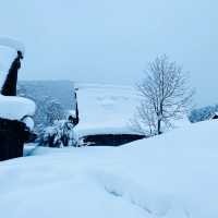 【岐阜県🇯🇵】一度は行ってみたい‼️冬の白川郷☺️