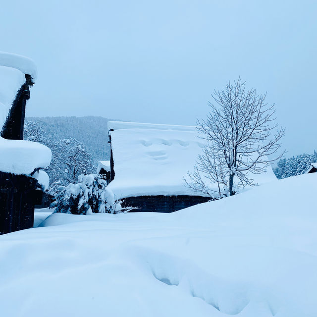 【岐阜県🇯🇵】一度は行ってみたい‼️冬の白川郷☺️