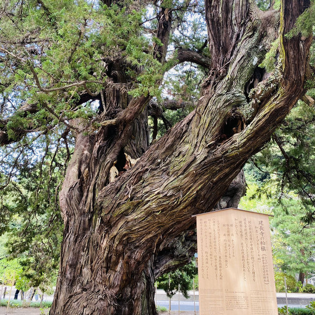 【神奈川県🇯🇵建長寺】日本最初の禅宗専門寺院へ☺️