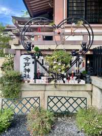 【東京都浅草🇯🇵今戸神社】縁結びの神様⛩️招き猫がお出迎え☺️