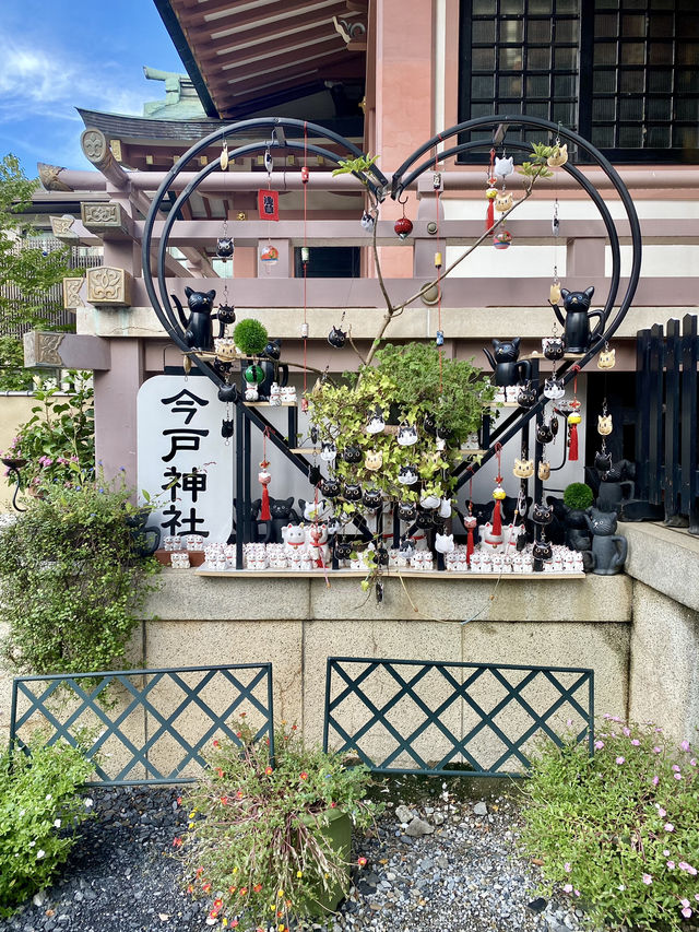 【東京都浅草🇯🇵今戸神社】縁結びの神様⛩️招き猫がお出迎え☺️