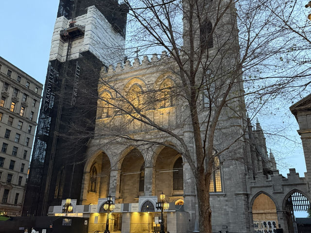 이상하고 아름다운 도깨비 나라🏰🇨🇦