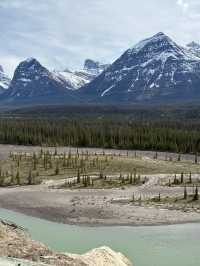 5-day Itinerary in Calgary