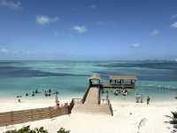 Swim with Pigs & Chill on South Beach