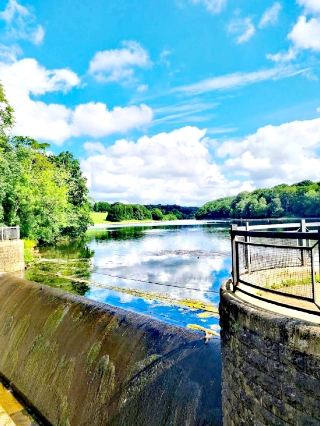 Roundhay Park
