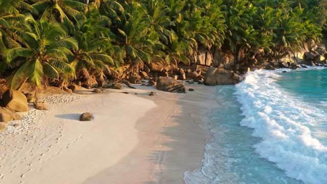 Destination Seychelles 