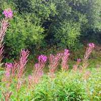 獲獎的Blackleach Country Park