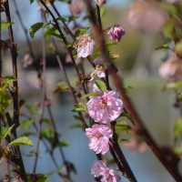 Spring Time in Greifswald… Germany 