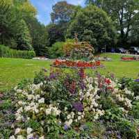 🌺🏰 Explore the Majestic Royal Victoria Park in Bath! 🚶‍♀️🌳


