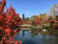 Kyoto: Cultural Odyssey