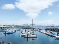 Discover the Spanish Canary Islands🏝️ 