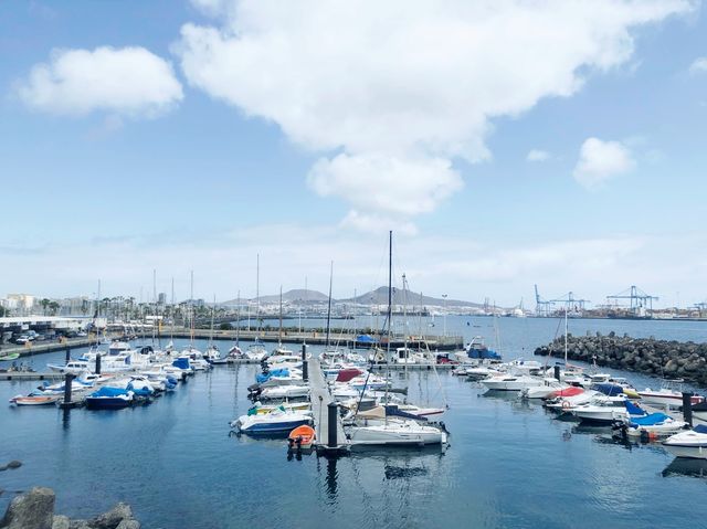Discover the Spanish Canary Islands🏝️ 