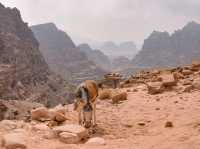 The Stunning Backdoor Hike in Petra