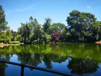 Discovering the Charms of Vienna