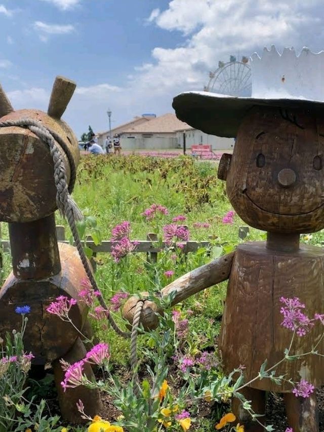☀️長井海之手公園 太陽之丘☀️體驗15米高的高空滑索