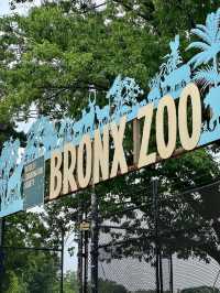 Bronx Zoo 🇺🇸