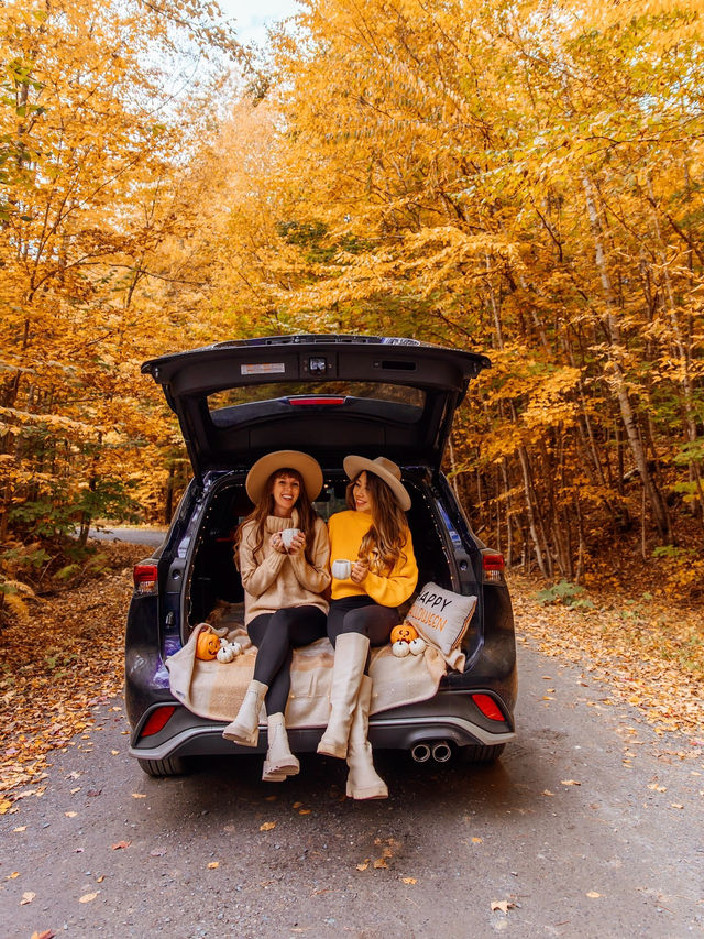 뉴잉글랜드 미국 가을 성수기 🍂