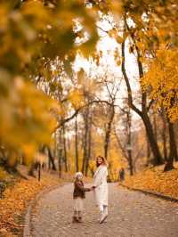 가을의 고멜 🍁