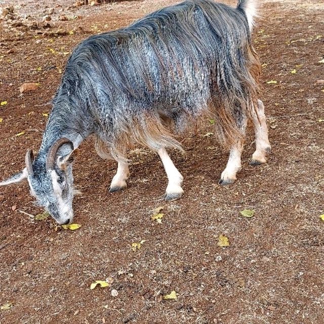 hiking in Crete