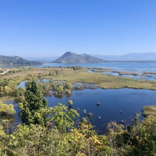 Lake Skadar, have you been there?