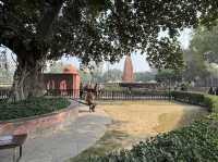 A Golden Experience in Amritsar, India 