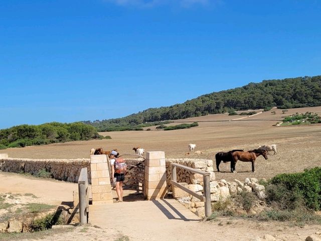 Menorca on foot