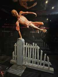 Exploring the Human Body at Body Worlds Amsterdam