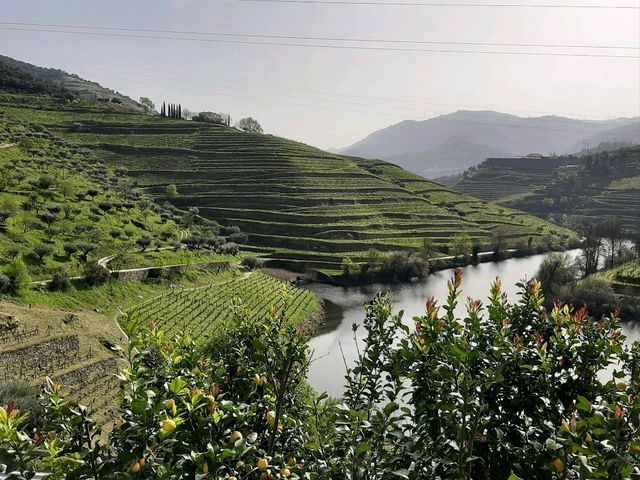 Dauro Valley