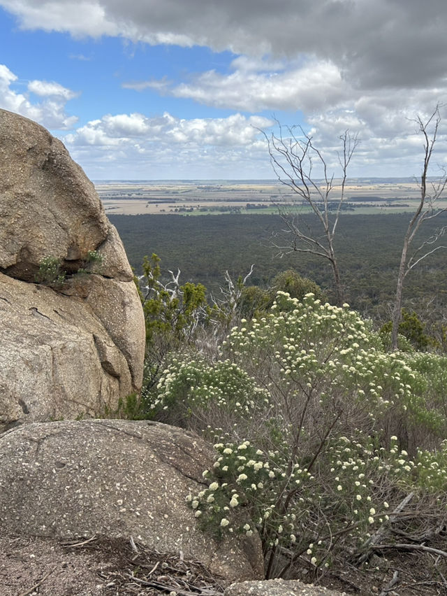 ⛰️🚴 Explore You Yangs Regional Park: Hiking & Biking Among Ancient Granite Peaks