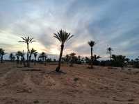 Desert sunset❤️