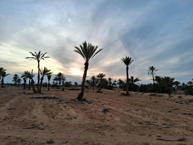 Desert sunset❤️