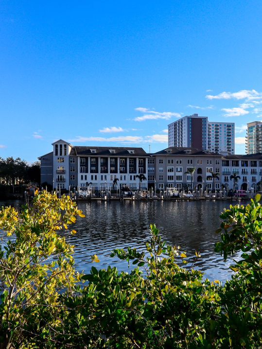 Mini guide to Tampa Bay 🇺🇸