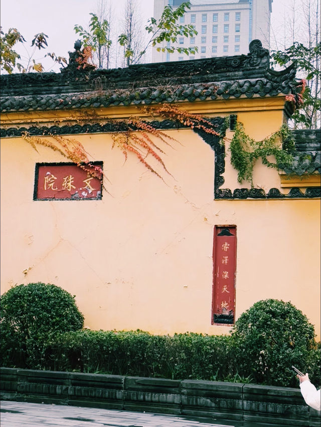🐼 Chengdu Transit: The Ultimate Panda Tour 🐼