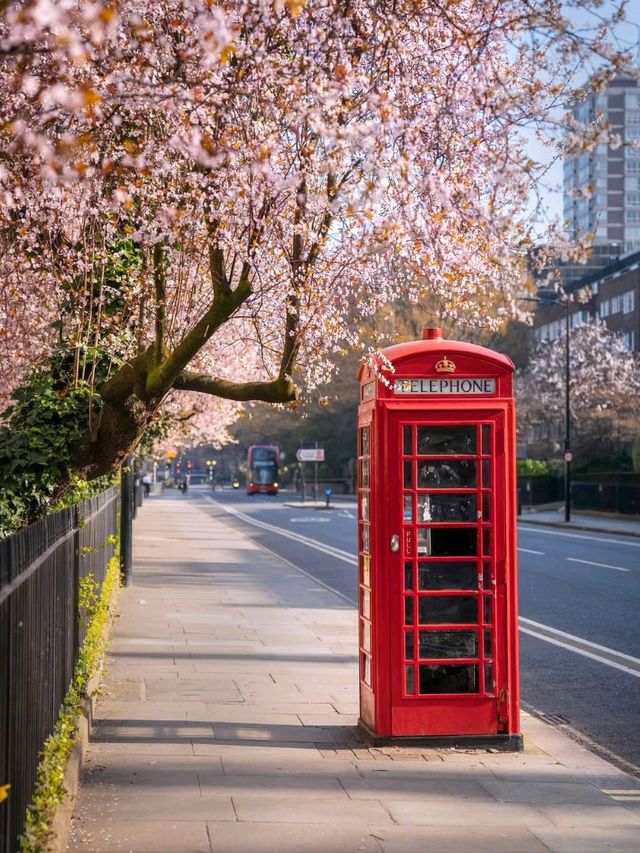 Spring in London: A Seasonal Dream 🌸🌷