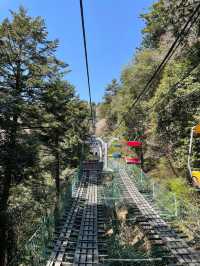 It is a Michelin three-star tourist destination