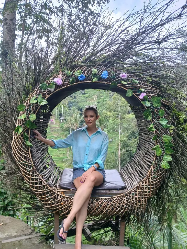 Bali Blooms... especially in April 🌺🌴⚘️🦋🏵